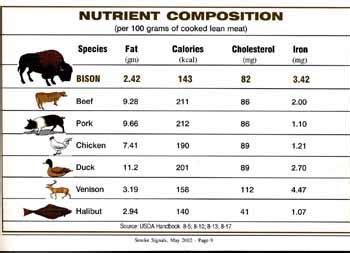 bison meat nutrition