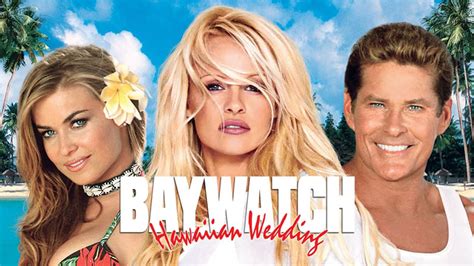 Baywatch: The Reunion - TheTVDB.com