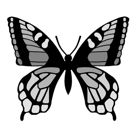 Butterfly Outline Template - Cliparts.co