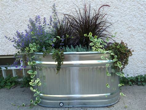 20+30+ Galvanized Water Trough Planter