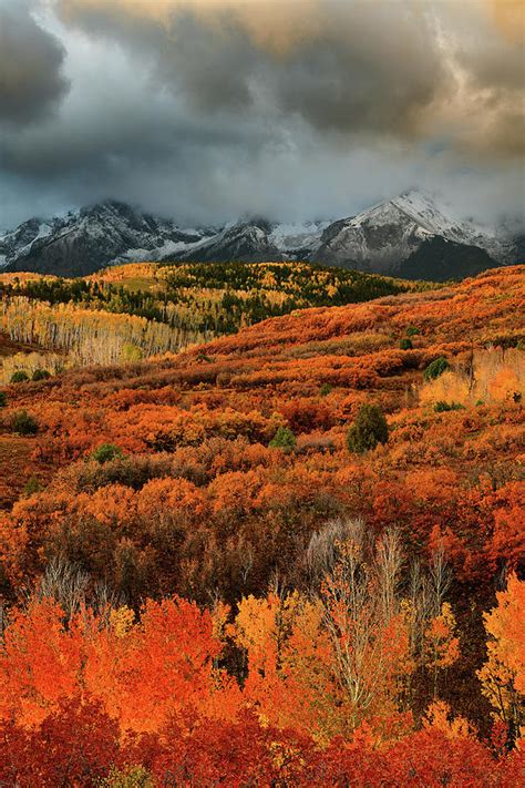 Dallas Divide Fall Colors 3 Photograph by Dean Hueber - Fine Art America