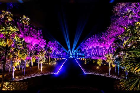 Night at the Garden Miami Experience: A magical light garden