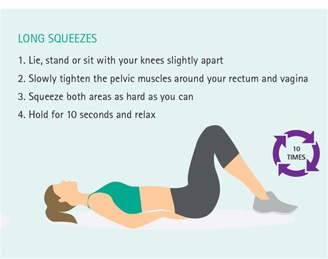 Printable Seated Pelvic Floor Exercises