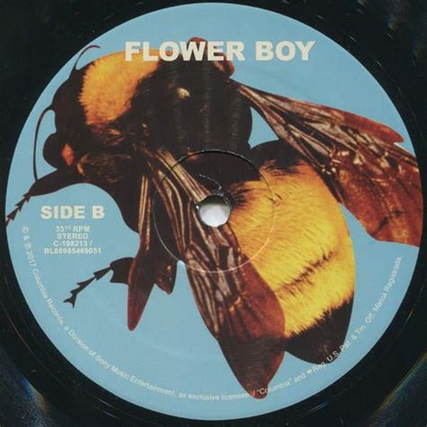 Tyler the creator flower boy vinyl poster - bflinda