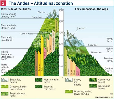 Diercke Weltatlas - Kartenansicht - The Andes — Altitudinal zonation ...