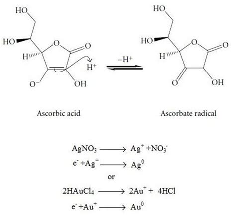 Scheme 1. Ascorbic acid reduction mechanism of gold and silver ions to ...