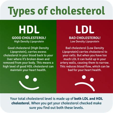 HDL Plant Based Fats vs LDL Animal Fats: Understanding Good and Bad ...