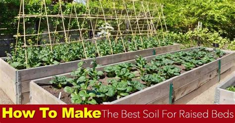 Soil For Raised Beds: How To Make The Best Raised Bed Soil