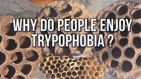 Trypophobia! Blackheads, Pimple Pops, Ingrown Hair & Zit Popping ...