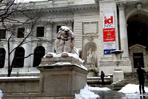 New York Public Library Lions: Patience and Fortitude ...