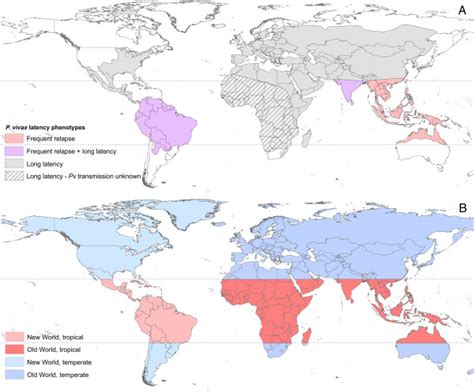 Proposed distributions of Plasmodium vivax relapse latency ...