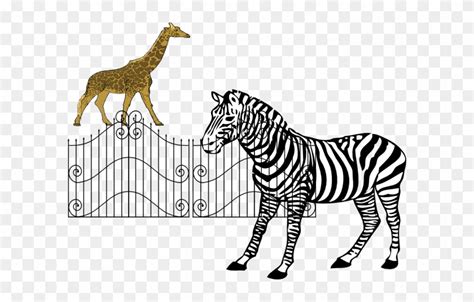 Zoo Animals Clip Art - Zebra Drawing Black And White - Free Transparent ...