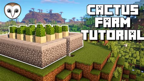 Automatic Cactus Farm 1.8.9 - These could give you a full chest. - pampsdie