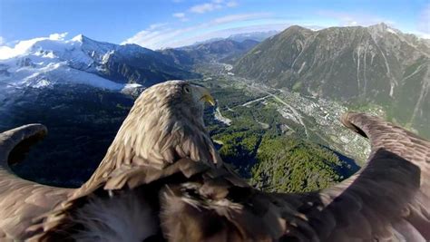 Eagle Eye View of the Alps | About Islam