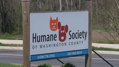 Washington County Humane Society needs volunteers for veteran pet ...