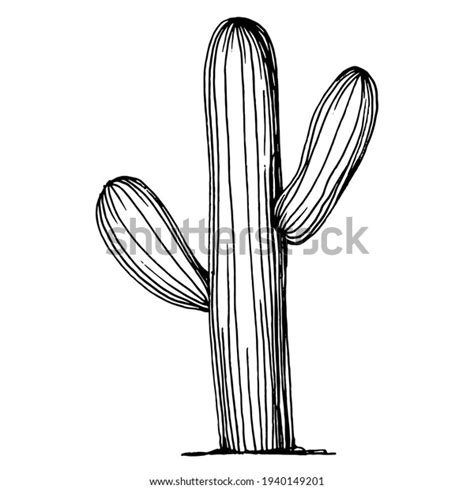 Free Black And White Cactus Clipart Outline