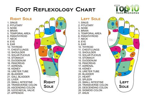 10 Health Benefits of Reflexology as an Alternative Treatment | Top 10 ...