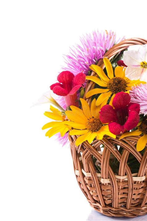 Bouquet of asters stock image. Image of kampsis, fall - 33164021