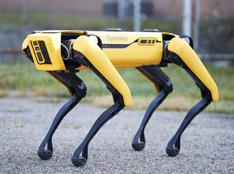 Boston Dynamics' Spot Mini Robot Dog Is Both Fascinating And Terrifying ...