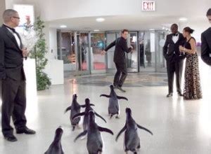 Mr Popper's Penguins Clip: Penguins Surf the Guggenheim