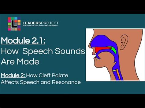 Module 2.1- Cleft Palate Speech and Feeding: How Speech Sounds Are Made ...