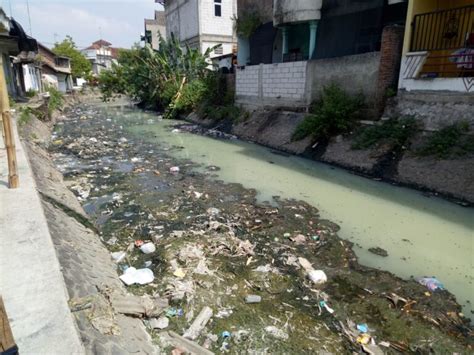 Pembuangan Limbah Tahu ke Sungai di Sumber Mulyo, Praktisi Hukum: Ada ...