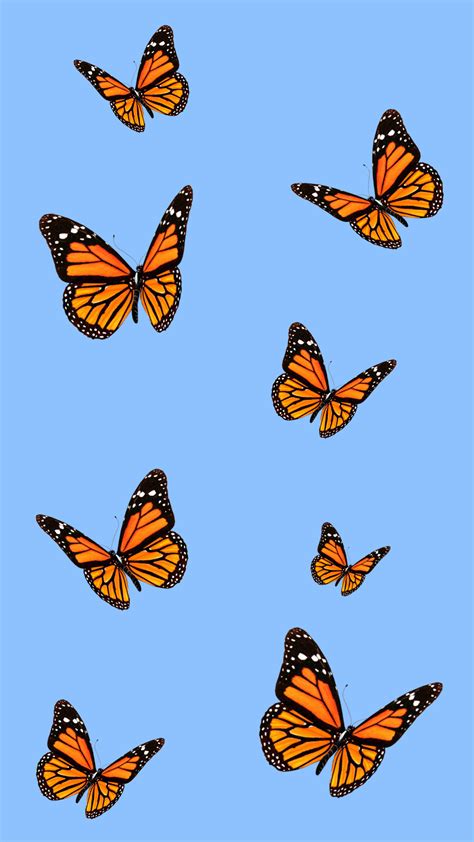 Blue Butterfly Wallpaper Aesthetic With White Background - Download ...