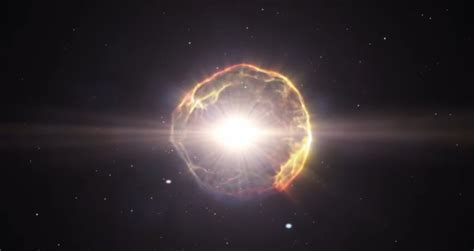 Did Betelgeuse Go Supernova 2024 Results - Olga Tiffie