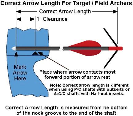 Choosing the Correct Arrow Length: A Quick Guide To Measuring and Cutt ...