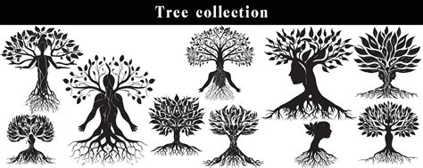 set of silhouettes of trees. black and white tree vector set. tree ...