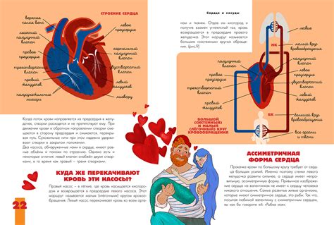 Illustrations for a book about the human body on Behance