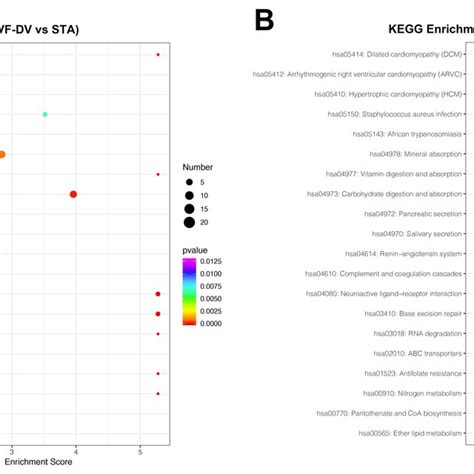 KEGG pathway analysis. The bubble chart shows the KEGG pathway analysis ...