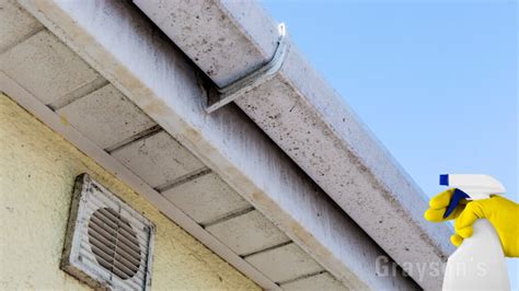 Does Gutter Cleaner Spray Actually Work? - Grayson's Gutter Cleaning