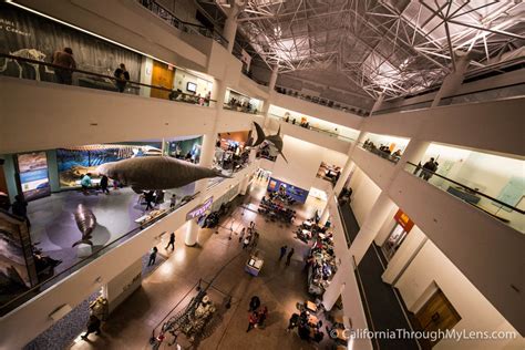 theNat: San Diego Natural History Museum in Balboa Park - California ...