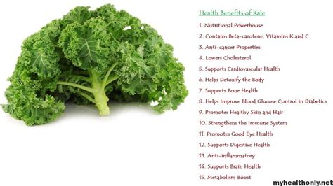 8 Incredible Health Benefits to Kale - My Health Only