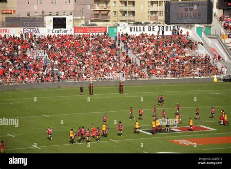 Toulon vs Pau rugby match at the Mayol Toulon stadium Stock Photo - Alamy