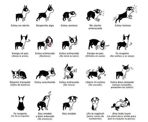 El lenguaje de los perros - Adiestrar Perros - Razas de Perros - Fotos ...