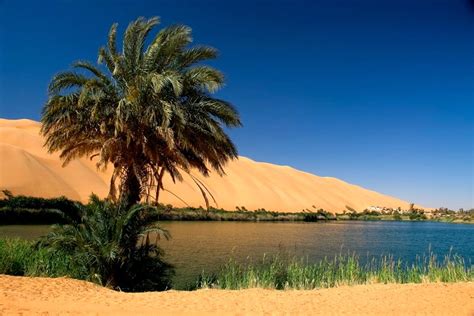 The beautiful oasis in the Sahara desert |Funroster