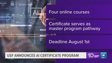 USF introduces new AI graduate certificate program | wtsp.com