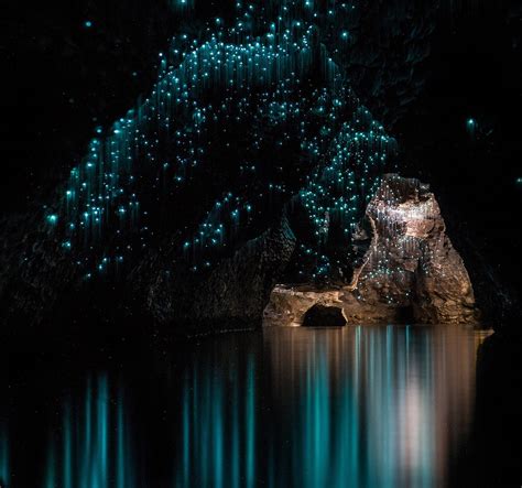 Waitomo Glowworm Caves – New Zealand thoughts – Medium