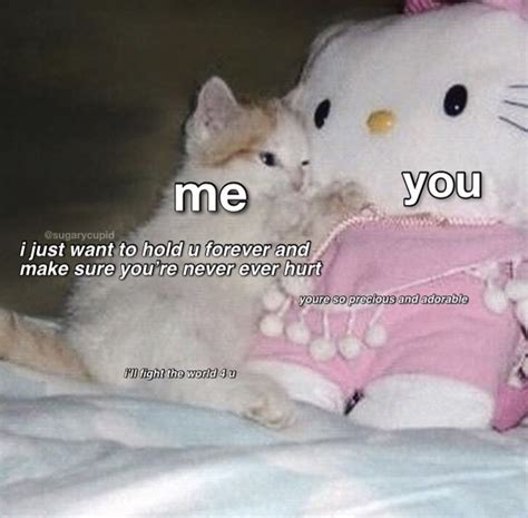 58 Wholesome Meme Cat Love Meme