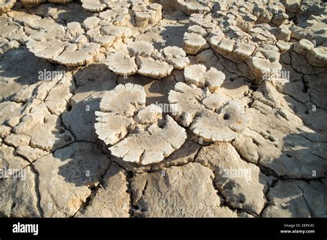 Salt Formations on Saltwater Lake, Dallol, Danakil Desert, Ethiopia ...