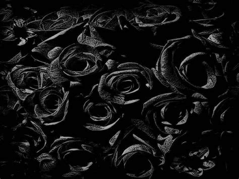 [100+] Black Rose Wallpapers | Wallpapers.com