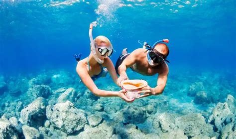 The Ultimate Guide to Snorkeling at Coco Cay! - Trip Pursuit