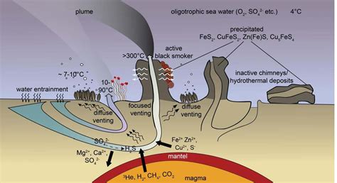 Hydrothermal vents