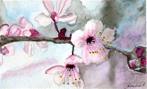 Cherry Blossom Watercolor by jimscard on DeviantArt