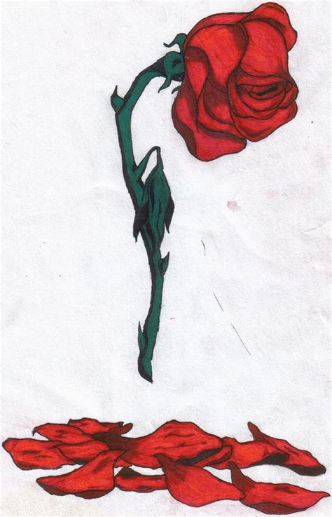 Dying Rose Drawing at PaintingValley.com | Explore collection of Dying ...