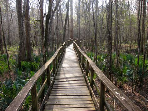 Congaree National Park | Find Your Park