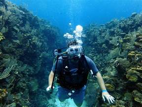 The Best Scuba Diving Company in Roatan, Honduras - UponArriving