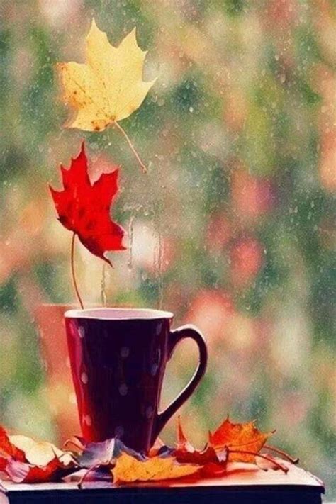 Cup Of Coffee On A Autumn Day Pictures, Photos, and Images for Facebook ...